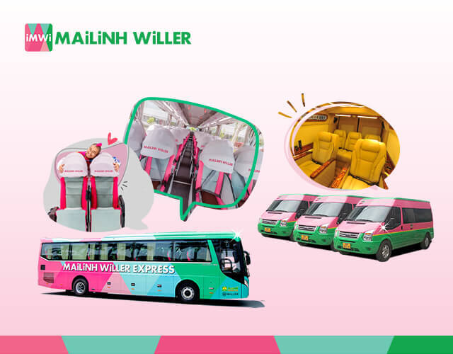 Xe khách, xe limousine Thanh Hóa Hà Nội Mai Linh WILLER